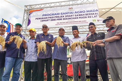 Lembaga Kemajuan Pertanian Muda .